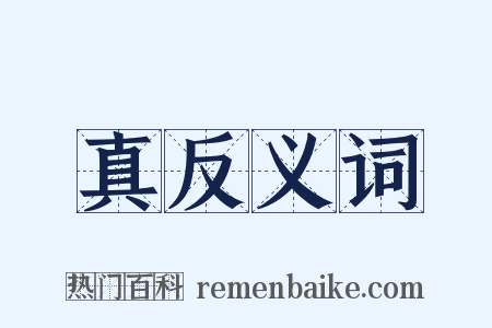 真反义词是什么意思的图片